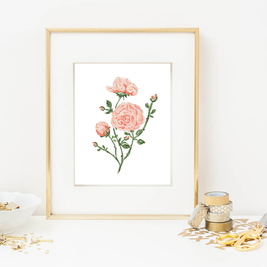 Art Print, Blush Roses