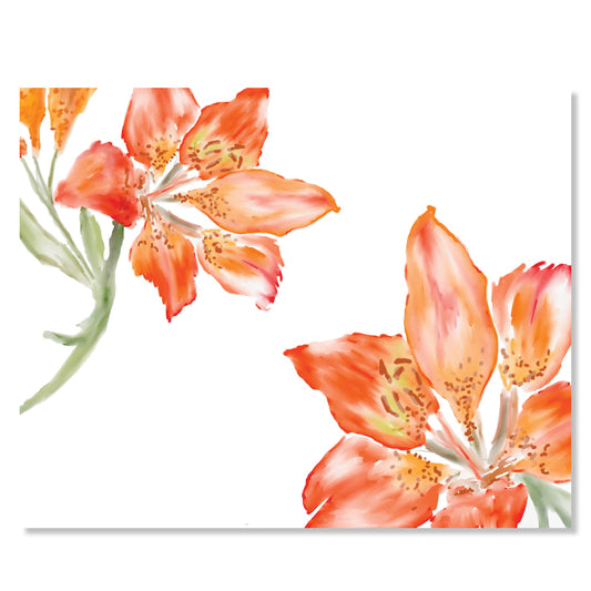 Boxed Folded Note Card Set, Tiger Lilies